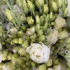 Lisianthus